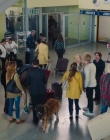 Filename=2019_-_Joyeuse_Retraite_mp45204.jpg
Filesize=1011KiB
Dimensions=1920x1024
Date added=Jun 04, 2025 2019_-_Joyeuse_Retraite_mp45204.jpg