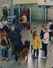 Filename=2019_-_Joyeuse_Retraite_mp45207.jpg
Filesize=1062KiB
Dimensions=1920x1024
Date added=Jun 04, 2025 2019_-_Joyeuse_Retraite_mp45207.jpg