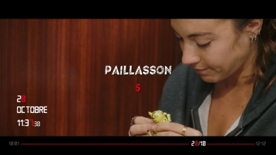 2019_-_Paillasson_mp40939.jpg