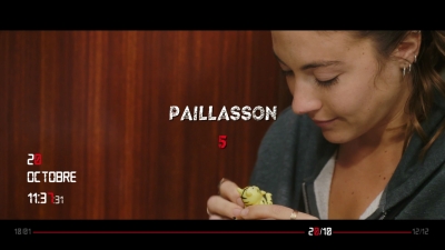 2019_-_Paillasson_mp40940.jpg