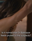 2022-2023_-_Balthazar_S04E06_mp41702.jpg