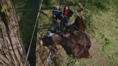 2022-2023_-_Balthazar_S04E07_mp43355.jpg