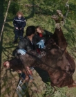 2022-2023_-_Balthazar_S04E07_mp43334.jpg