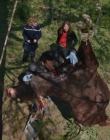 2022-2023_-_Balthazar_S04E07_mp43340.jpg