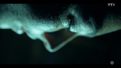 2022-2023_-_Balthazar_S05E06_mkv2280.jpg