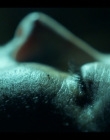 Filename=2022-2023_-_Balthazar_S05E06_mkv2349.jpg
Filesize=801KiB
Dimensions=1920x1080
Date added=Jun 05, 2025 2022-2023_-_Balthazar_S05E06_mkv2349.jpg