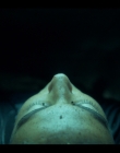 Filename=2022-2023_-_Balthazar_S05E06_mkv2401.jpg
Filesize=598KiB
Dimensions=1920x1080
Date added=Jun 05, 2025 2022-2023_-_Balthazar_S05E06_mkv2401.jpg