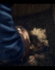 Filename=2022-2023_-_Balthazar_S05E06_mkv2422.jpg
Filesize=709KiB
Dimensions=1920x1080
Date added=Jun 05, 2025 2022-2023_-_Balthazar_S05E06_mkv2422.jpg