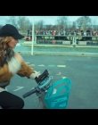 Filename=Cats_Eyes_S01E04_mkv1633.jpg
Filesize=817KiB
Dimensions=1920x1080
Date added=Jun 05, 2025 Cats_Eyes_S01E04_mkv1633.jpg