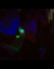 Filename=Cats_Eyes_S01E06_mkv2333.jpg
Filesize=443KiB
Dimensions=1920x1080
Date added=Jun 05, 2025 Cats_Eyes_S01E06_mkv2333.jpg