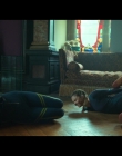 Filename=Cats_Eyes_S01E08_mkv7206.jpg
Filesize=800KiB
Dimensions=1920x1080
Date added=Jun 05, 2025 Cats_Eyes_S01E08_mkv7206.jpg